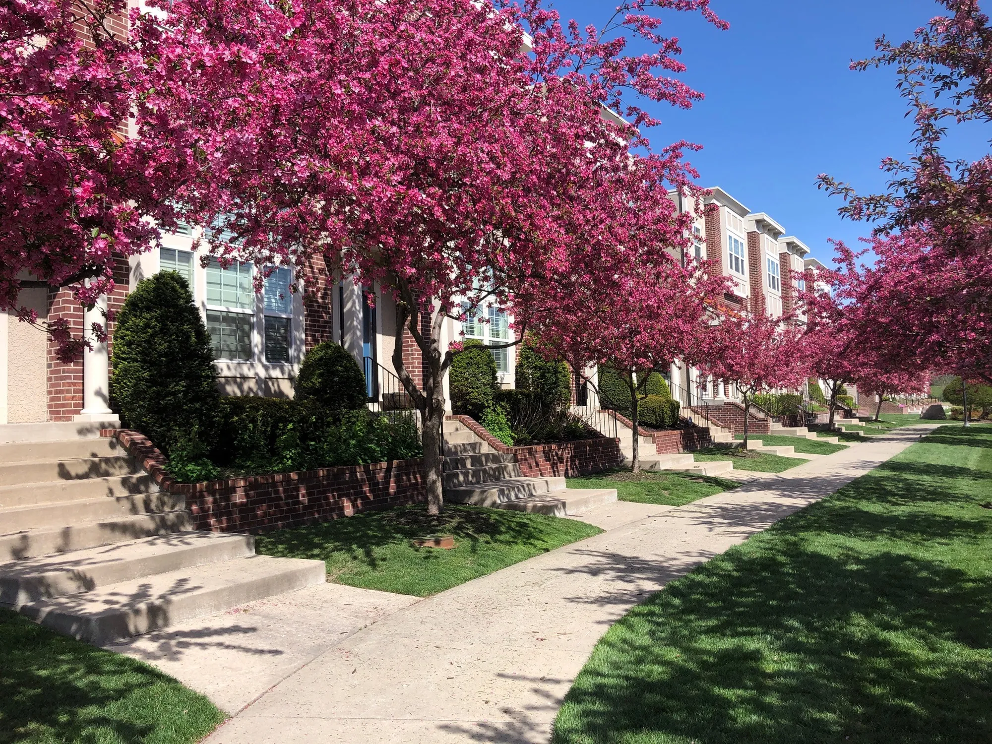 Hunt Midwest Master Planned Communities - Northgate Village