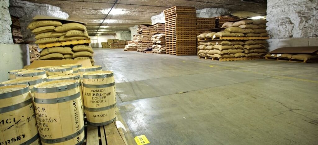 Wooden barrels labeled 'Jamaica Blue Mountain Coffee' with large stacks of burlap sacks on pallets.